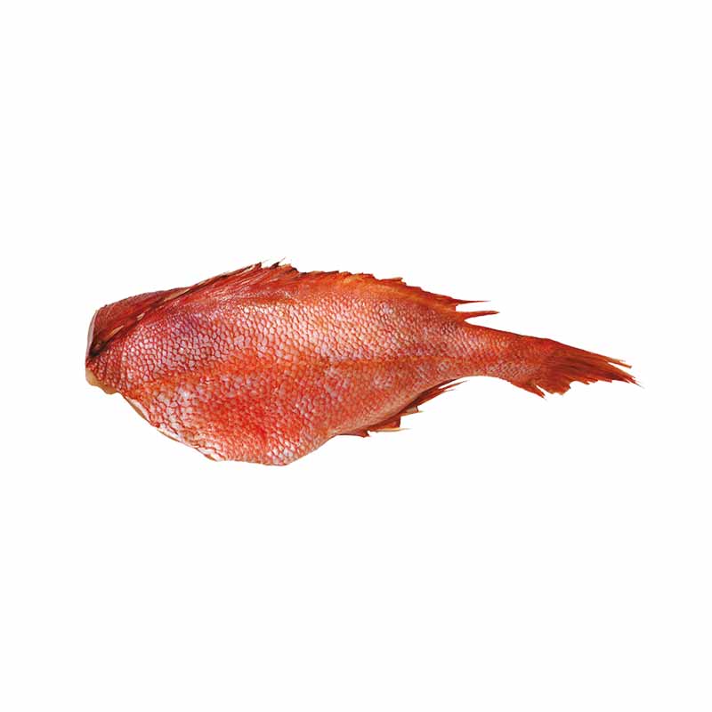 Smrznuta Riba MARKOS FOOD D o o 